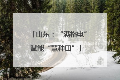 山东：“满格电”赋能“慧种田”