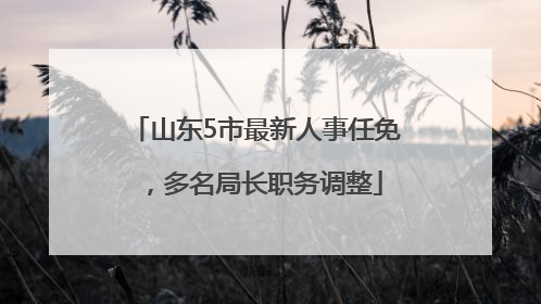 山东5市最新人事任免，多名局长职务调整