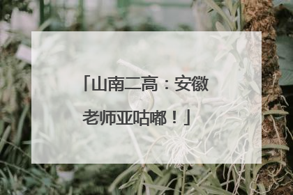 山南二高：安徽老师亚咕嘟！