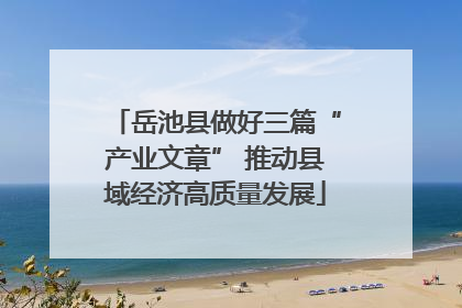 岳池县做好三篇“产业文章” 推动县域经济高质量发展