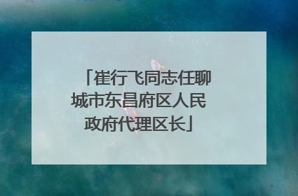 崔行飞同志任聊城市东昌府区人民政府代理区长