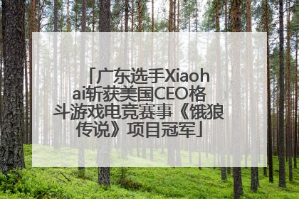 广东选手Xiaohai斩获美国CEO格斗游戏电竞赛事《饿狼传说》项目冠军