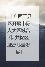 广西三县区开展市际人大区域合作 共促区域高质量发展