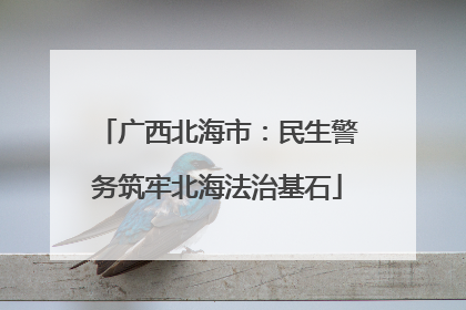 广西北海市：民生警务筑牢北海法治基石