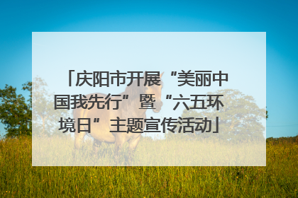 庆阳市开展“美丽中国我先行”暨“六五环境日”主题宣传活动