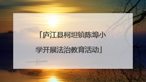 庐江县柯坦镇陈埠小学开展法治教育活动