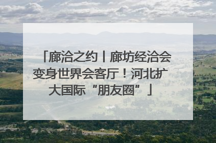 廊洽之约丨廊坊经洽会变身世界会客厅！河北扩大国际“朋友圈”