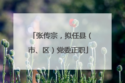 张传宗，拟任县（市、区）党委正职