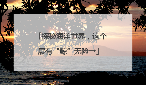 探秘海洋世界，这个展有“鲸”无险→