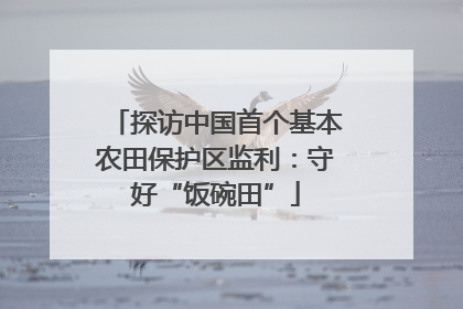 探访中国首个基本农田保护区监利：守好“饭碗田”