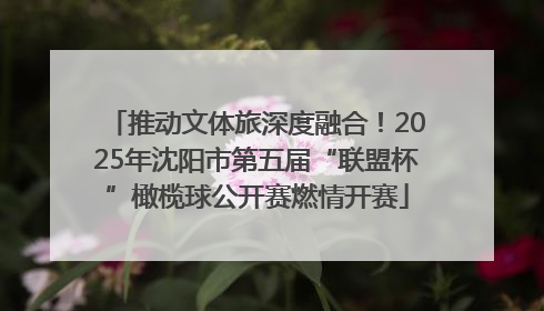 推动文体旅深度融合!2025年沈阳市第五届“联盟杯”橄榄球公开赛燃情开赛