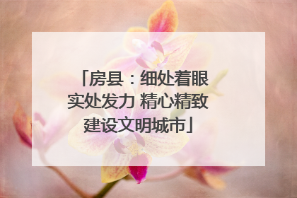 房县：细处着眼 实处发力 精心精致建设文明城市