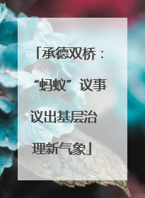 承德双桥：“蚂蚁”议事 议出基层治理新气象