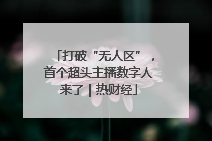 打破“无人区”，首个超头主播数字人来了｜热财经