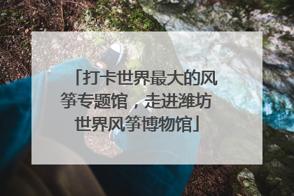 打卡世界最大的风筝专题馆，走进潍坊世界风筝博物馆