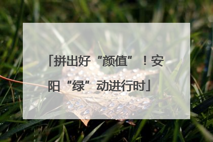拼出好“颜值”！安阳“绿”动进行时