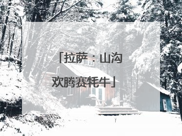 拉萨：山沟欢腾赛牦牛
