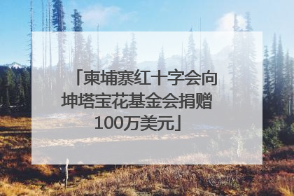 柬埔寨红十字会向坤塔宝花基金会捐赠100万美元