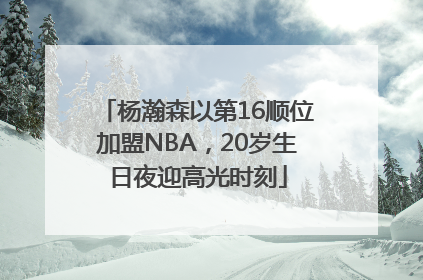 杨瀚森以第16顺位加盟NBA，20岁生日夜迎高光时刻