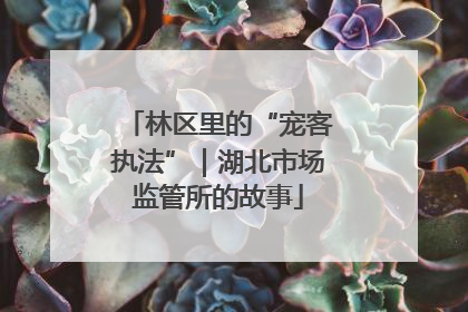 林区里的“宠客执法”｜湖北市场监管所的故事
