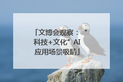 文博会观察：“科技+文化”AI应用场景吸睛