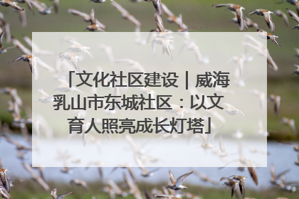 文化社区建设｜威海乳山市东城社区：以文育人照亮成长灯塔