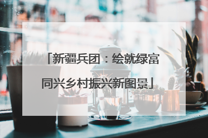 新疆兵团：绘就绿富同兴乡村振兴新图景