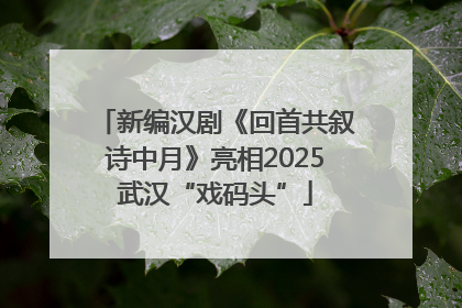 新编汉剧《回首共叙诗中月》亮相2025武汉“戏码头”