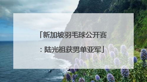 新加坡羽毛球公开赛：陆光祖获男单亚军