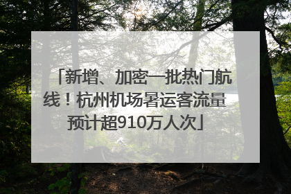 新增、加密一批热门航线！杭州机场暑运客流量预计超910万人次