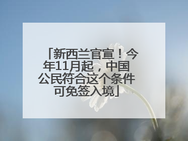 新西兰官宣！今年11月起，中国公民符合这个条件可免签入境