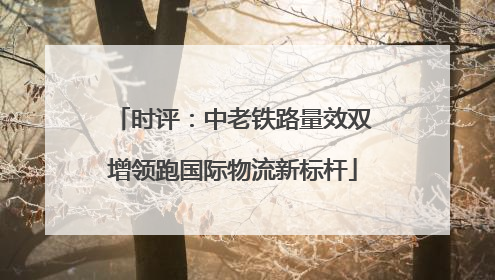 时评：中老铁路量效双增领跑国际物流新标杆