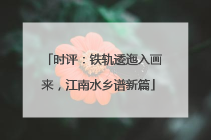 时评：铁轨逶迤入画来，江南水乡谱新篇