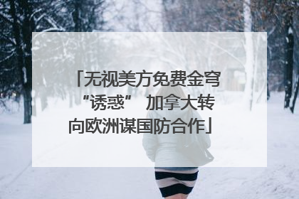 无视美方免费金穹“诱惑” 加拿大转向欧洲谋国防合作