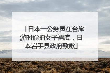 日本一公务员在台旅游时偷拍女子裙底，日本岩手县政府致歉