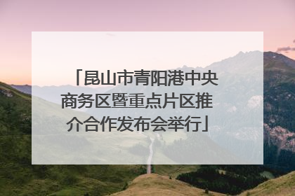 昆山市青阳港中央商务区暨重点片区推介合作发布会举行
