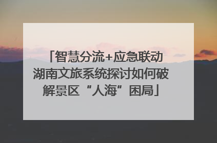 智慧分流+应急联动 湖南文旅系统探讨如何破解景区“人海”困局
