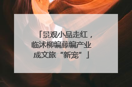 景观小品走红，临沭柳编藤编产业成文旅“新宠”