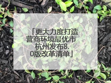 更大力度打造营商环境最优市 杭州发布8.0版改革清单