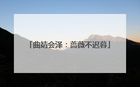 曲靖会泽：蔷薇不迟暮