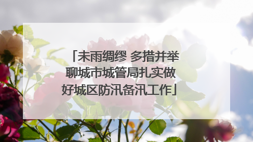 未雨绸缪 多措并举 聊城市城管局扎实做好城区防汛备汛工作