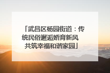武昌区杨园街道：传统民俗邂逅婚育新风 共筑幸福和谐家园