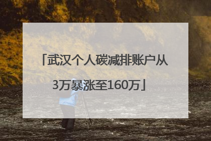 武汉个人碳减排账户从3万暴涨至160万