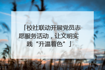 校社联动开展党员志愿服务活动，让文明实践“升温着色”