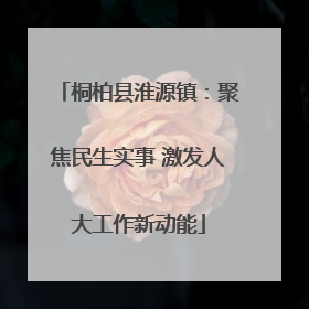 桐柏县淮源镇：聚焦民生实事 激发人大工作新动能