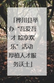 桦川县举办“吾爱吾才 粽享欢乐”活动 厚植人才服务沃土