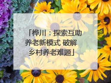 桦川：探索互助养老新模式 破解乡村养老难题