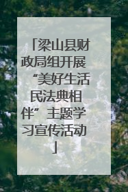 梁山县财政局组开展“美好生活 民法典相伴”主题学习宣传活动