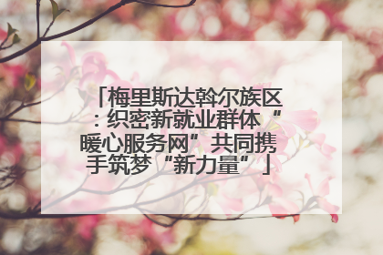 梅里斯达斡尔族区：织密新就业群体“暖心服务网”共同携手筑梦“新力量”