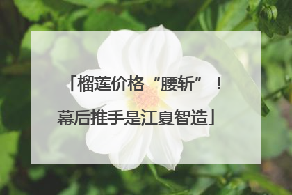 榴莲价格“腰斩”！幕后推手是江夏智造